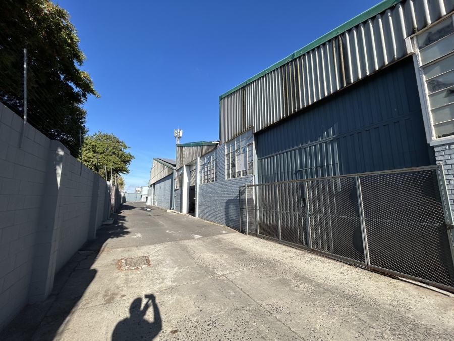 To Let Commercial Property for Rent in Epping Industrial Western Cape